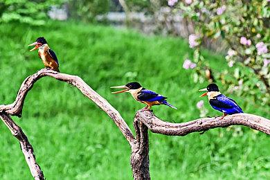 像素动作游戏《监狱之城》8月发售